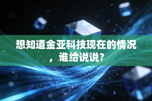 想知道金亚科技现在的情况,谁给说说?