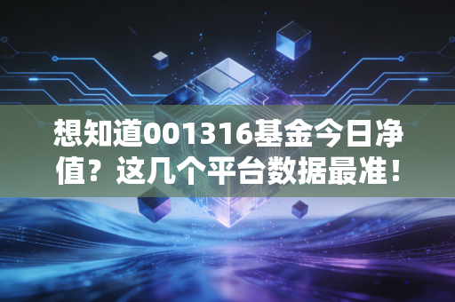 想知道001316基金今日净值？这几个平台数据最准！