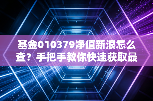 基金010379净值新浪怎么查？手把手教你快速获取最新数据。