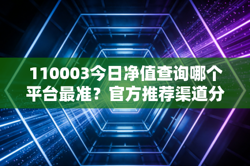 110003今日净值查询哪个平台最准?官方推荐渠道分享!