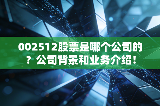 002512股票是哪个公司的？公司背景和业务介绍！