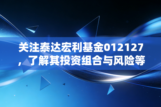 关注泰达宏利基金012127，了解其投资组合与风险等级！