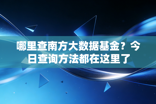 哪里查南方大数据基金?今日查询方法都在这里了