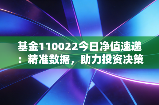 基金110022今日净值速递：精准数据，助力投资决策！