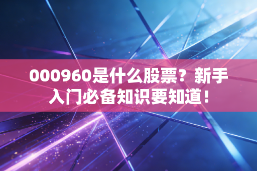 000960是什么股票？新手入门必备知识要知道！