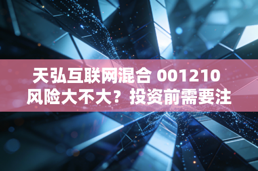 天弘互联网混合 001210 风险大不大？投资前需要注意这些！