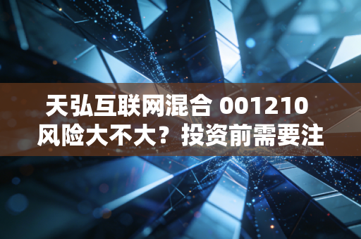 天弘互联网混合 001210 风险大不大？投资前需要注意这些！