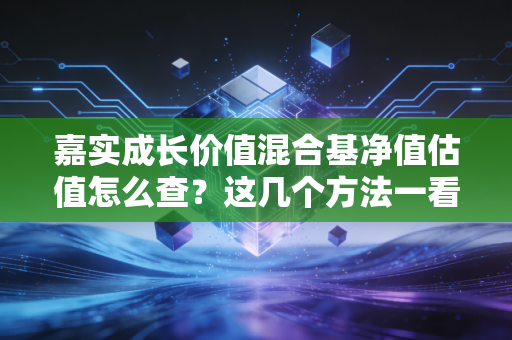 嘉实成长价值混合基净值估值怎么查？这几个方法一看就会！