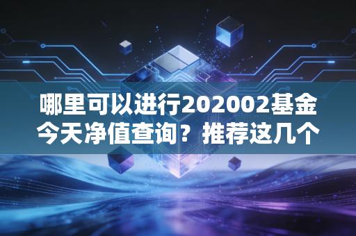 哪里可以进行202002基金今天净值查询？推荐这几个靠谱平台！