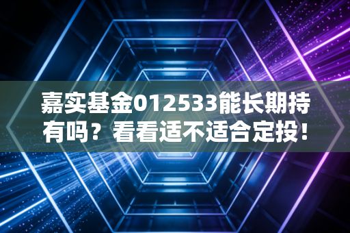 嘉实基金012533能长期持有吗？看看适不适合定投！