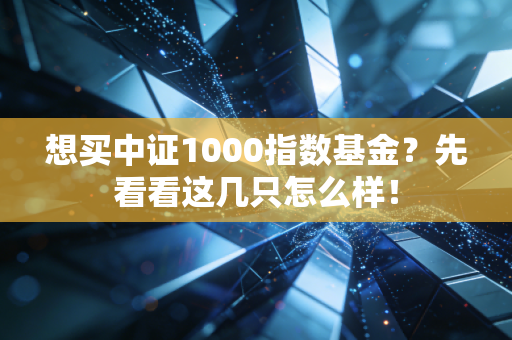 想买中证1000指数基金?先看看这几只怎么样!