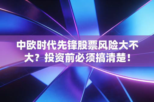 中欧时代先锋股票风险大不大?投资前必须搞清楚!