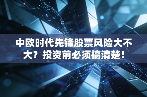 中欧时代先锋股票风险大不大?投资前必须搞清楚!