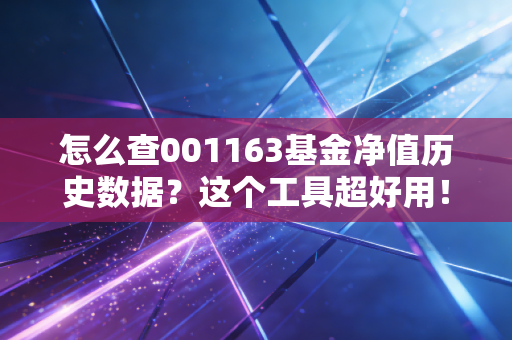 怎么查001163基金净值历史数据?这个工具超好用!