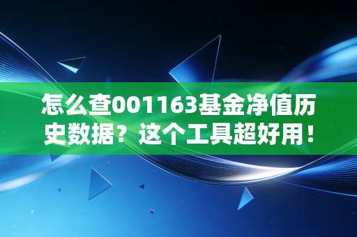 怎么查001163基金净值历史数据？这个工具超好用！