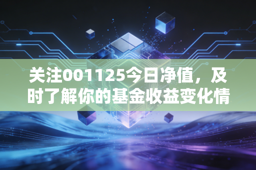 关注001125今日净值,及时了解你的基金收益变化情况。