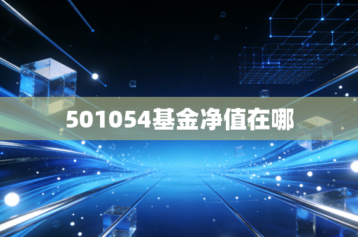 501054基金净值在哪