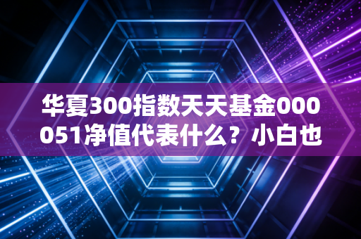 华夏300指数天天基金000051净值代表什么？小白也能看懂！