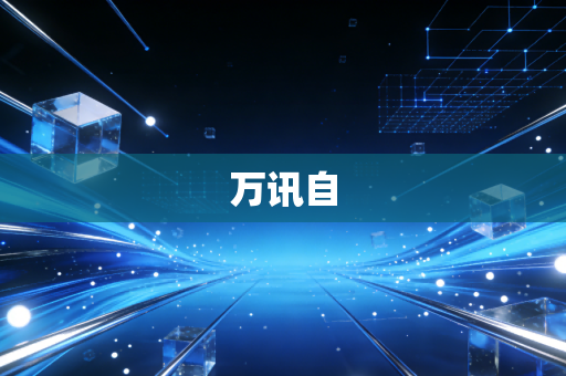 万讯自