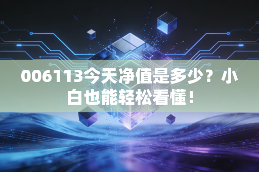 006113今天净值是多少?小白也能轻松看懂!