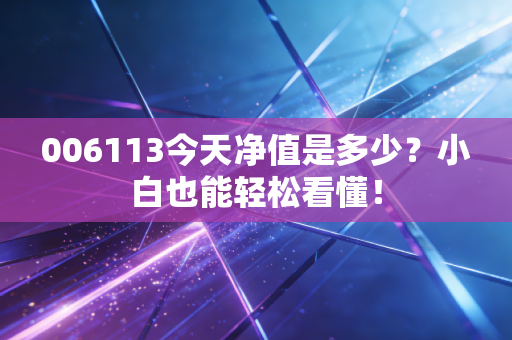006113今天净值是多少?小白也能轻松看懂!