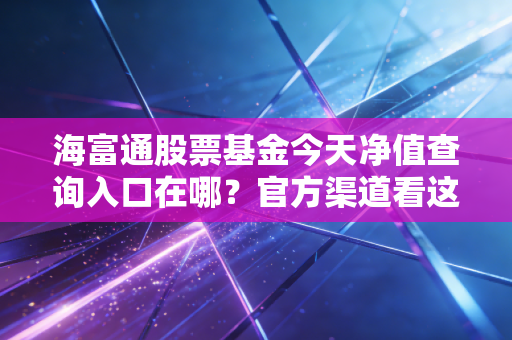 海富通股票基金今天净值查询入口在哪?官方渠道看这里!