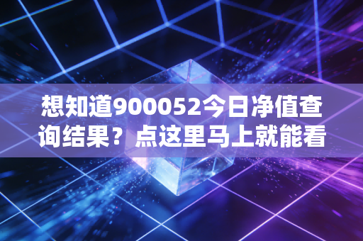 想知道900052今日净值查询结果?点这里马上就能看到!
