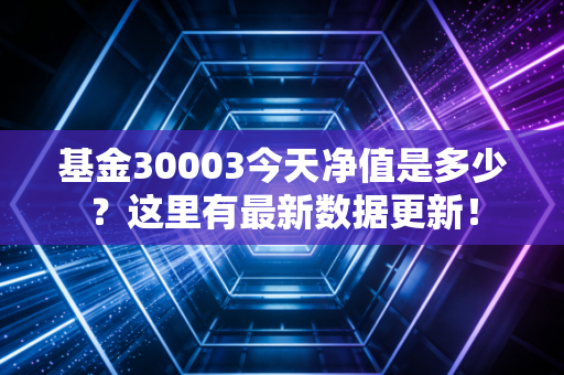 基金30003今天净值是多少?这里有最新数据更新!