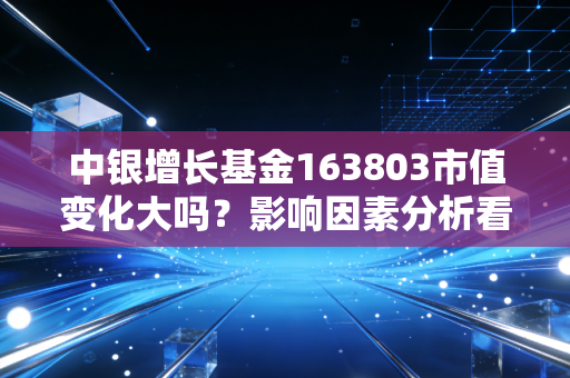 中银增长基金163803市值变化大吗?影响因素分析看这里。
