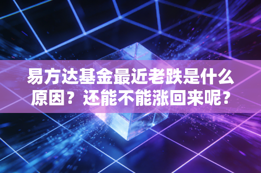 易方达基金最近老跌是什么原因?还能不能涨回来呢?