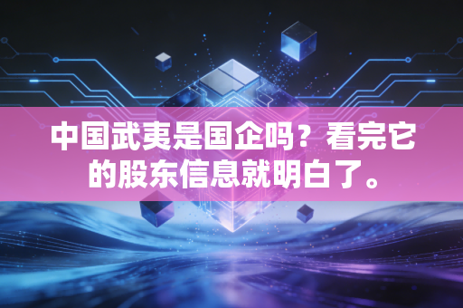 中国武夷是国企吗?看完它的股东信息就明白了。