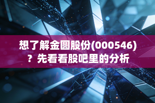 想了解金圆股份(000546)?先看看股吧里的分析