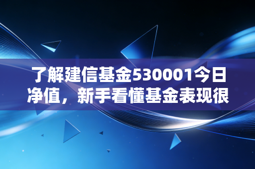 了解建信基金530001今日净值，新手看懂基金表现很简单！