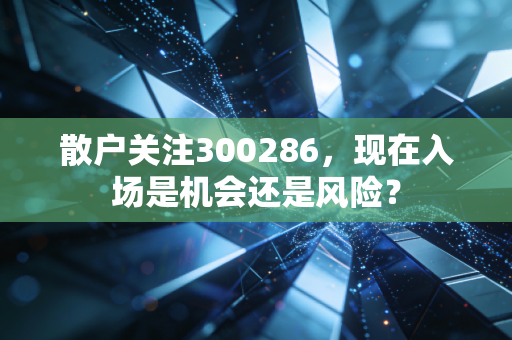 散户关注300286，现在入场是机会还是风险？