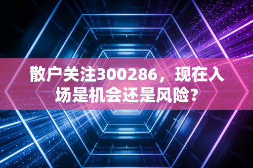散户关注300286，现在入场是机会还是风险？