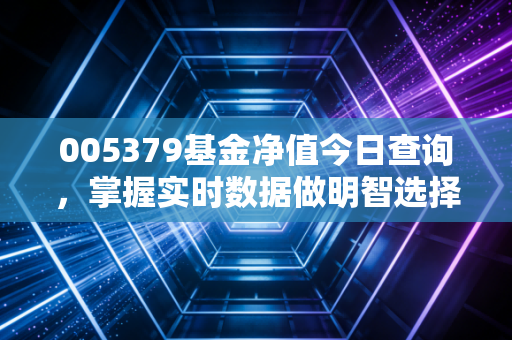 005379基金净值今日查询,掌握实时数据做明智选择