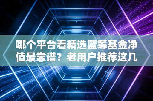 哪个平台看精选蓝筹基金净值最靠谱？老用户推荐这几个！
