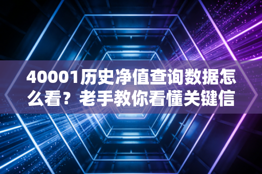 40001历史净值查询数据怎么看?老手教你看懂关键信息。