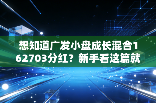 想知道广发小盘成长混合162703分红?新手看这篇就够了。