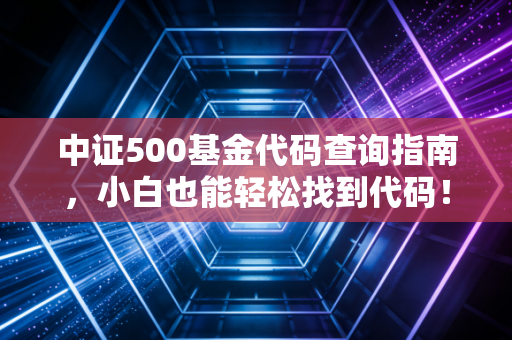 中证500基金代码查询指南,小白也能轻松找到代码!