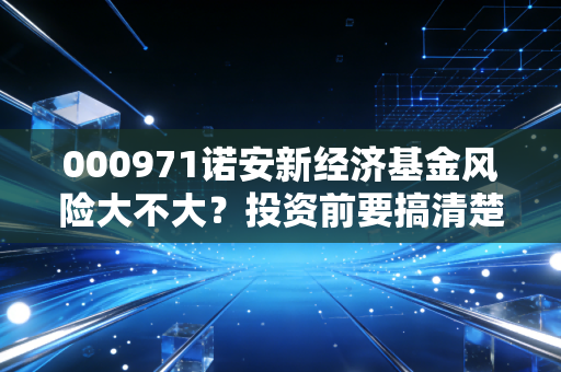000971诺安新经济基金风险大不大？投资前要搞清楚！