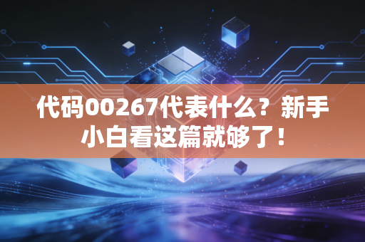 代码00267代表什么？新手小白看这篇就够了！