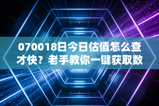 070018日今日估值怎么查才快？老手教你一键获取数据！