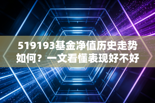 519193基金净值历史走势如何？一文看懂表现好不好。