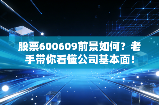股票600609前景如何?老手带你看懂公司基本面!