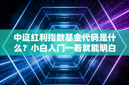 中证红利指数基金代码是什么?小白入门一看就能明白!