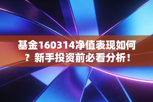 基金160314净值表现如何?新手投资前必看分析!