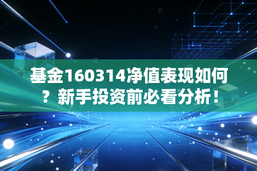 基金160314净值表现如何?新手投资前必看分析!