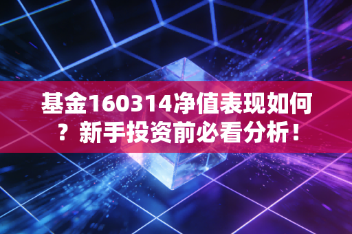 基金160314净值表现如何?新手投资前必看分析!