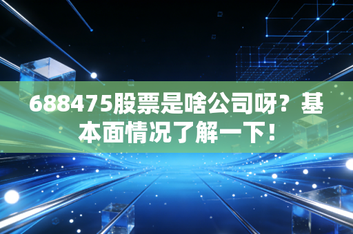 688475股票是啥公司呀?基本面情况了解一下!